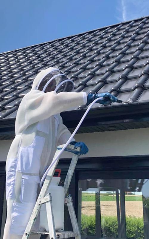 Captain Nuisibles en action, combinaison pour une désinfection d'un nid de guepes