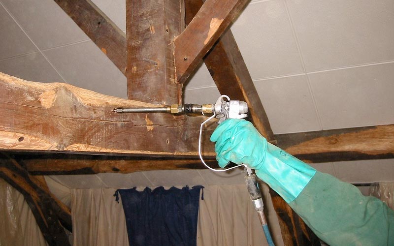 Parquet dans les combles d'une habitation avec des traces de nuisibles