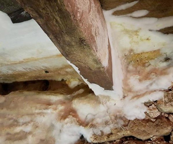 Toiture en bois avec présence de mérule